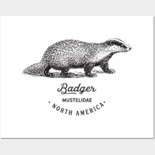 Honey Badger Retro Vintage Animal Fauna Posters and Art